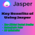 Jasper: Your AI-Powered Writing Assistant for Effortless Content Creation